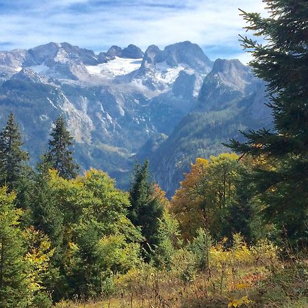 Dachstein Mountainview Gosau Leilighet Eksteriør bilde
