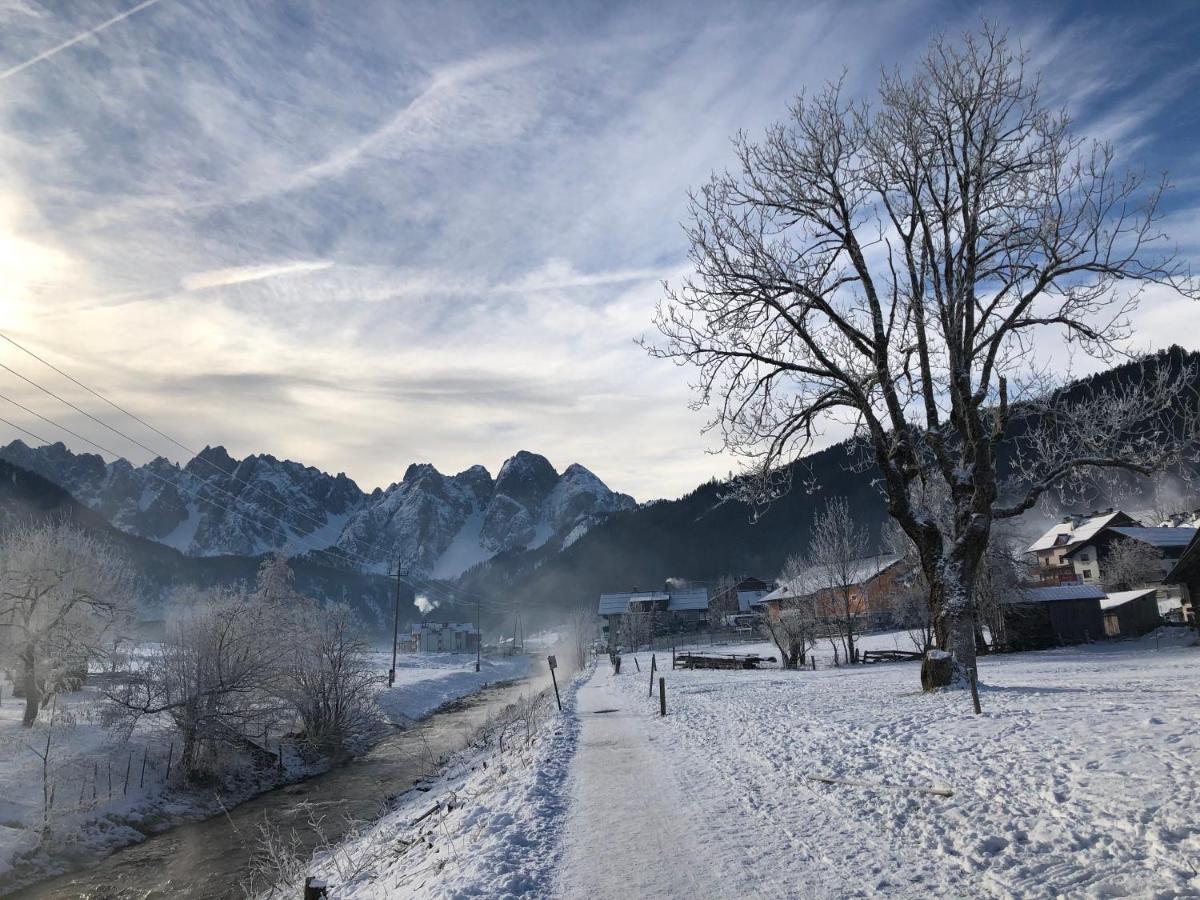 Dachstein Mountainview Gosau Leilighet Eksteriør bilde