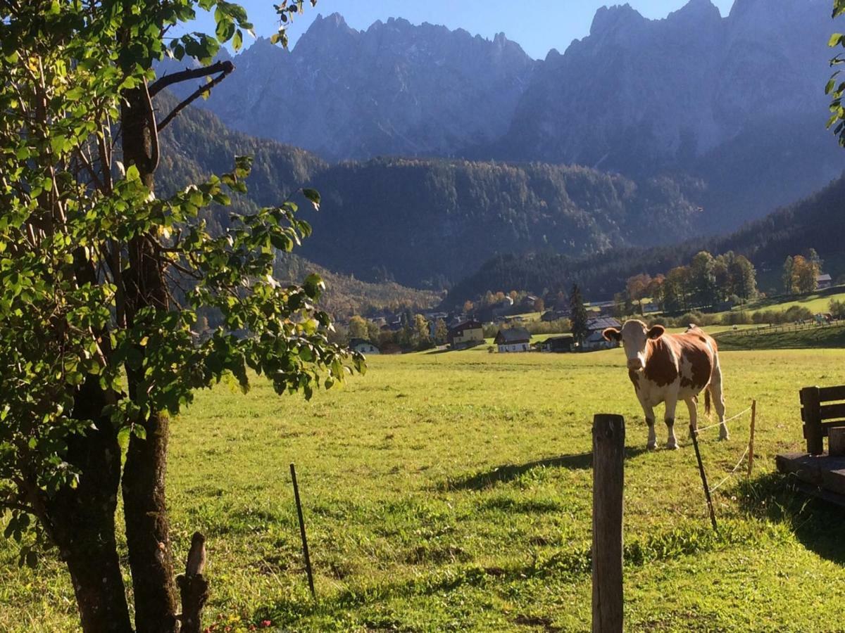Dachstein Mountainview Gosau Leilighet Eksteriør bilde