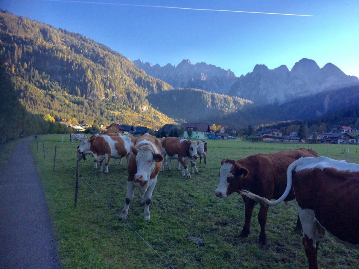 Dachstein Mountainview Gosau Leilighet Eksteriør bilde