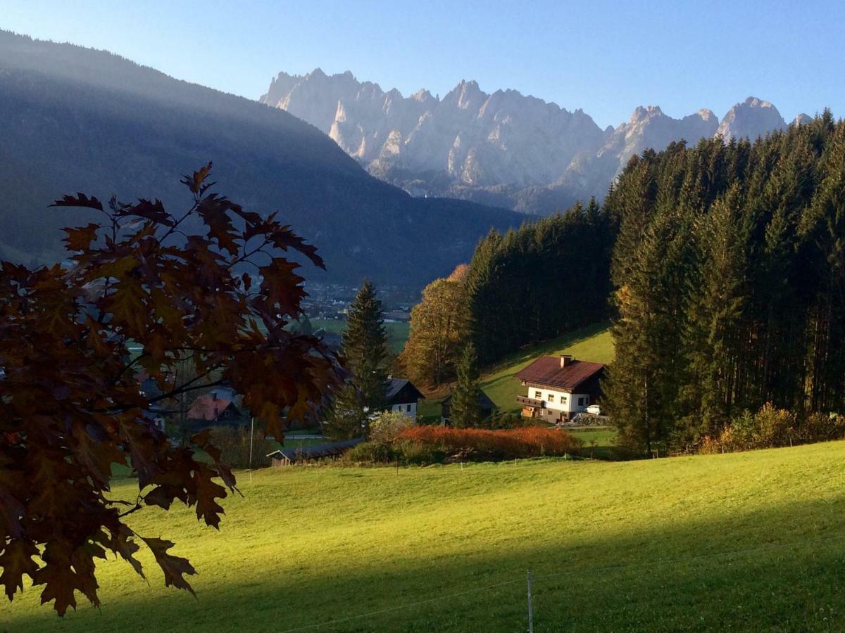 Dachstein Mountainview Gosau Leilighet Eksteriør bilde